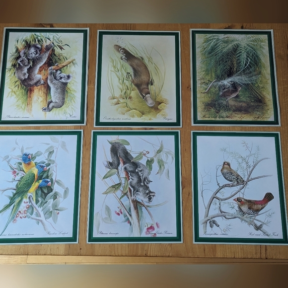 Lot of 6 Naturalist Zoology Vintage Illustrations Australian Wildlife - Picture 1 of 8